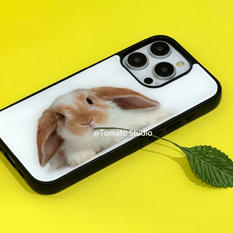 Niche dierenfotografie Y2K tel - Photography With Iphone 15 recensie en prijs